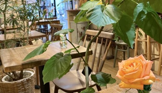 【二子玉川】森林浴ができるカフェ♡「cafe&green RonRon」